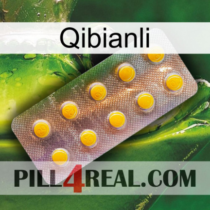 Qibianli new11